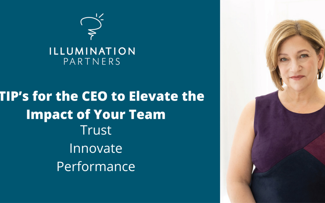 3 TIP’s for the CEO to Elevate the Impact of Your Team